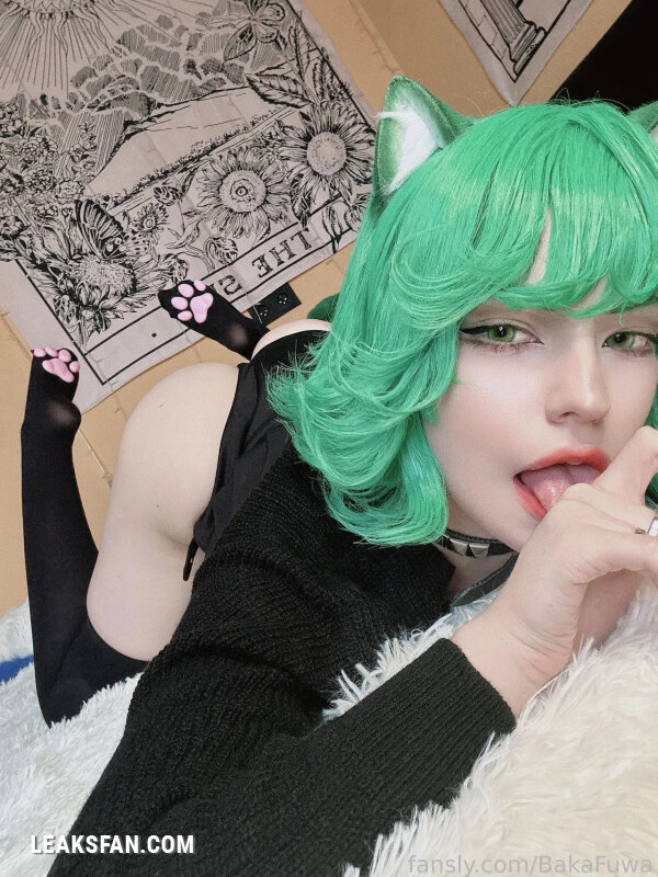 Baka Fuwa - Tatsumaki neko - 1