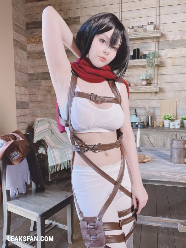 Helly Valentine - Mikasa Ackerman (Shingeki No Kyojin) - 0