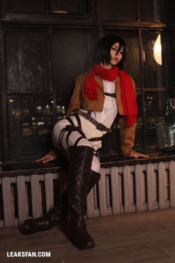 Vinnegal - Mikasa Ackerman - 0