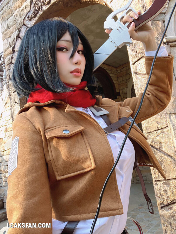 Hane Ame - Mikasa (Shingeki No Kyojin) - 12